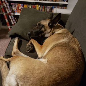 Meet your Posher, Sherri